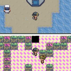 liquid crystal bugs