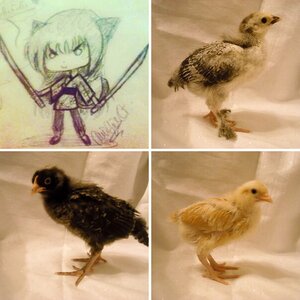 Some random things to either brighten or weird-ify your day....