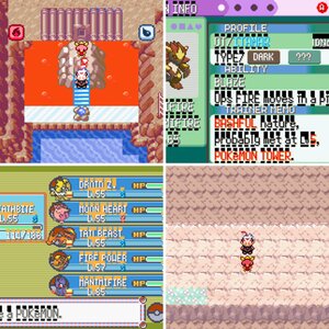 Pokemon Emerald (My Project)