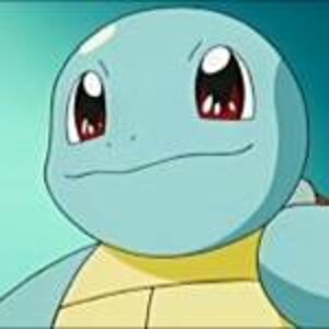 Picture1223