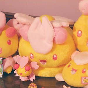 Most of the plush thingies. SAVE THE CUTE ONE. D8

One of those things is a slipper, another is a pencil case, and another is a money purse. :D