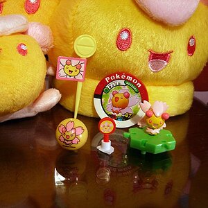 A marble, a bentou flag, a little... something else (it's like a centimetre tall XD), a disc thingy, and the chou-getto figure.