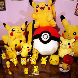 My Pikachu stuff. :D I didn't take a single picture with the plushies, but the one in the far back is the CUTEST PIKACHU PLUSHIE EVER. EEVVERRR.

The 