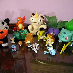 My miscellaneous toys. I'd love to start a Houndour or Bidoof collection. Or Raichu and Vaporeon. I love all those, but for now I'm concentrating main