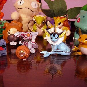 Nosepass megablok is there because Nosepass is hilarious. Bidoof is there for Canadian pride. Palkia is there because, uhh, yeah.