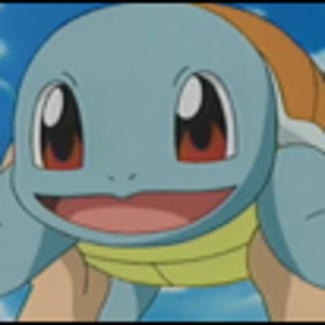lilsquirtle