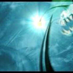 RipJaws banner?! 

Okay,okay,okay ... This is also a non-pokemon art. This a banner I made with one of Ben10's awesome aleins, RIPJAWS!

~Don't steal 