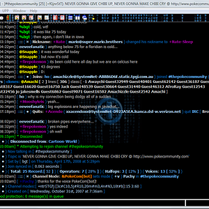 A screenshot of My IRC client. Cool eh?
This is me on IRC nowadays. I've got my client all pimped out and it's loaded with god knows how many scripts 