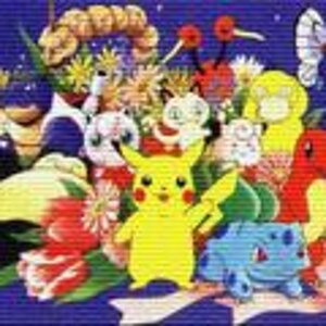 lots of pokemon