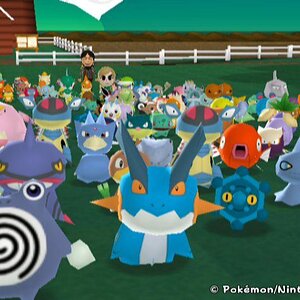 I picture I took in My Pokemon Ranch. They're all staring at you... and if you look closely you can see Shigeru Miyamoto and Link in the background.