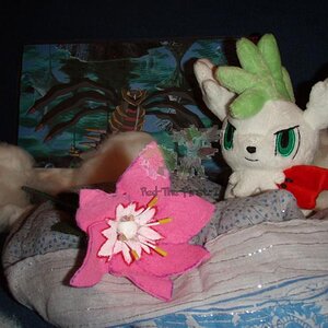 Part 12/14:

Shaymin has changed it's Form with the help ot the Glacidea Flower and is in Sky-Form now :) !
