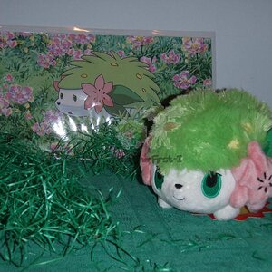 Part 11/14:

Shaymin in Glacidea (or the Flower Paradise, you decide)