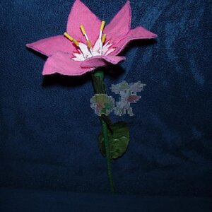 Part 08/14:

A Glacidea Flower handmade by me (c). You can't by it anywhere.
It's made out of florist's wire, color and felt.
It's become very lifelik