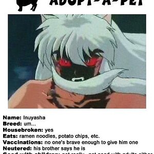 AdoptaPet Inuyasha