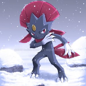 My old Weavile sig. I've recently stopped doing singatures like this seeing as they somehow mess up the forum rules anyway.