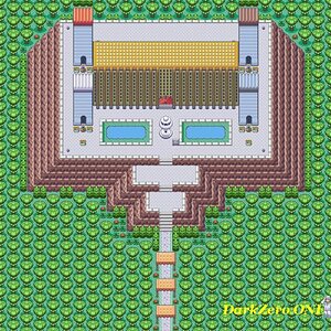 The Pokemon Castle