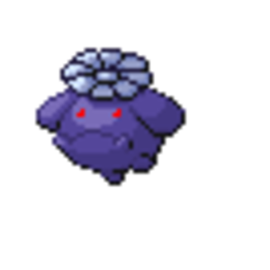 shadow skiploom