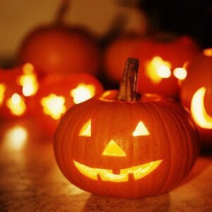 Pumpkin Picture.
