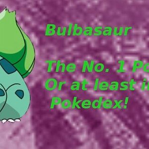 Simply a bulbasaur banner.