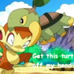 TurtwigBitingChimchar