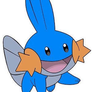 mudkip