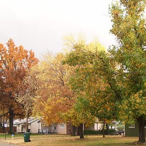 Fall colors