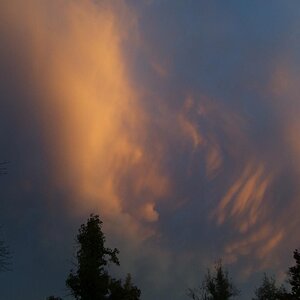 Mammatus clouds in the sun set.