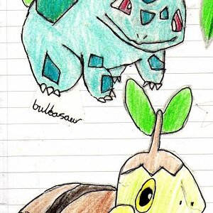bulbasaur and turtwig