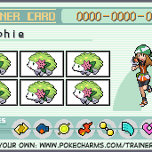 trainer card 2