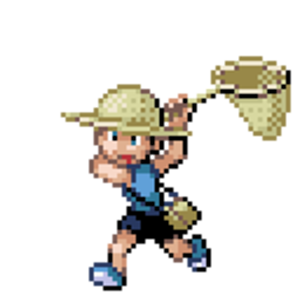 trainer012
