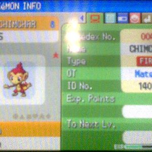 Chimchar