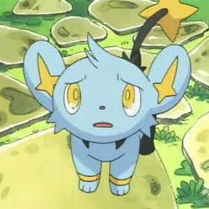 SHINX!!!!