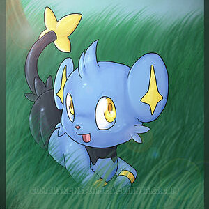 Shinx is so cute!  ^_^