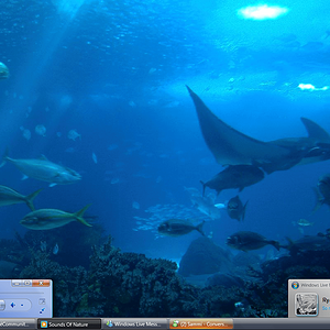 I decided to change it to more of an ocean life background.

(Oh, and the "Sounds Of Nature" music is my wave music, very relaxing)