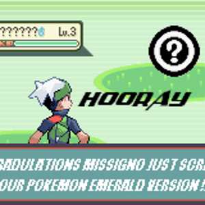 missigno that stupid glitch that screws up your game for GOOD!!