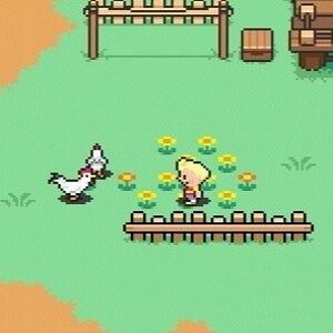 A Screenshot