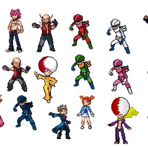 almost all trainers
