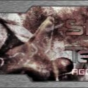 Aggron