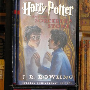 So ya...i definitely don't hold the worst intentions towards harry potter, but...ya...