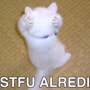 STFU alredi