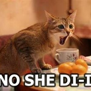 oh no she di in't