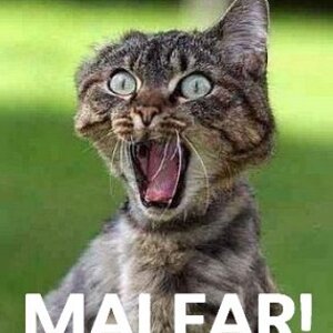 mai ear