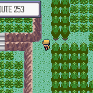 Route 253