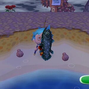 The elusive coelacanth. When you see this thing in the ocean, and you chuck your lure at it, it'll keep on attacking until your bobber goes down and y