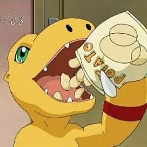Agumon and chips
