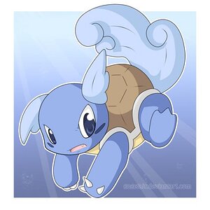 Wartortle awww