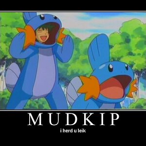 i herd you leik mudkipz