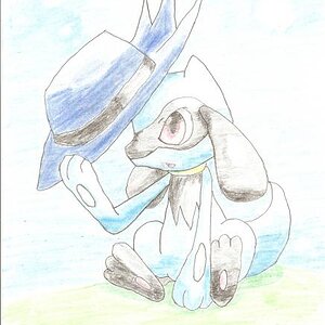 This is the drawing I made of Riolu about to put on Riley's hat. Doesn't he look cute?