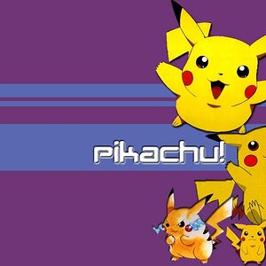 2482 pokemon 005 eoakj