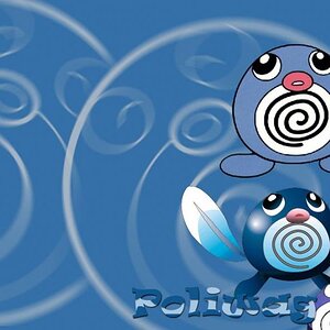2483 pokemon 006 pnckl